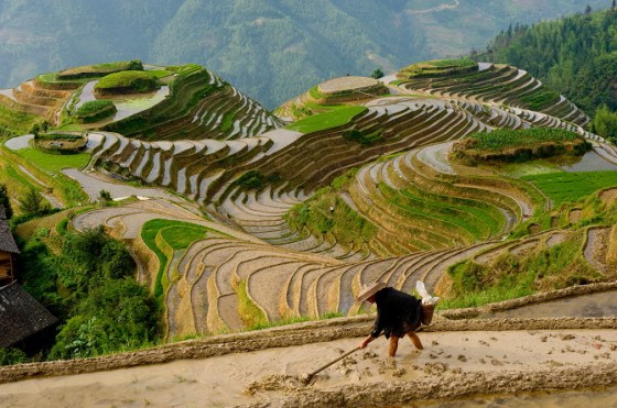 Chinese rice farmer, Seven Stars and Moon viewpoint, Dragon's Ba