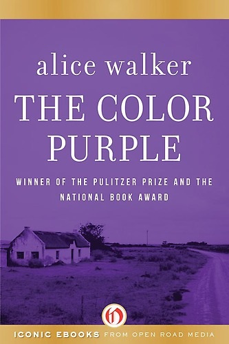 TheColorPurpleBookCover