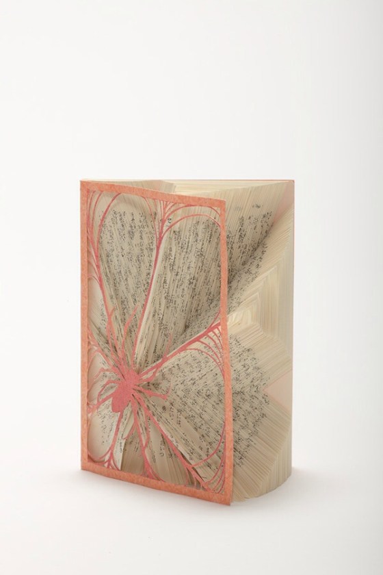 The Spider'sThreadbook